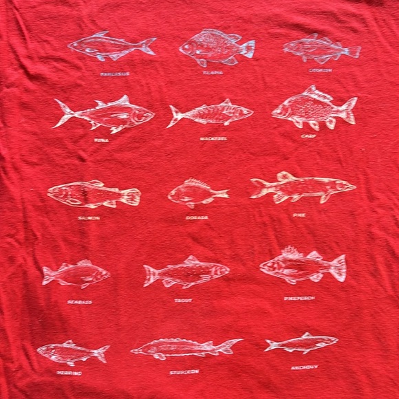 Kids Fish Shirt - Picture 2 of 3